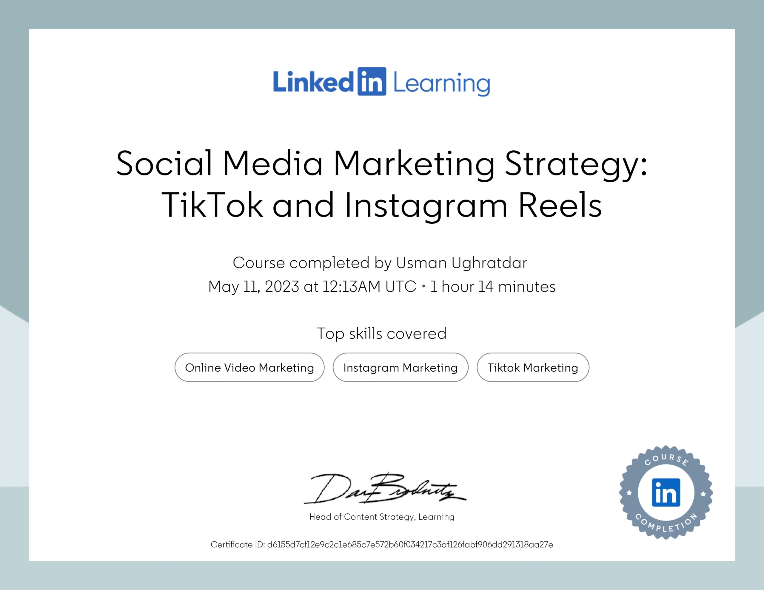 Social Media Marketing Strategy TikTok and Instagram Reels